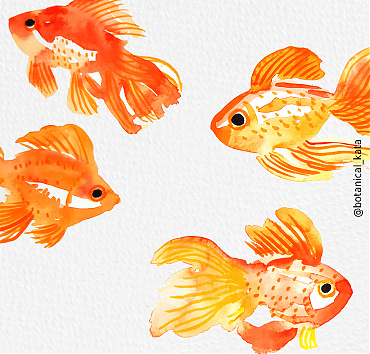 Goldfishes - 