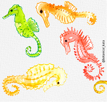 Colorful sea horses - 