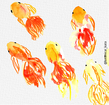 Goldfishes  - 