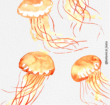 Jellyfishes again - 