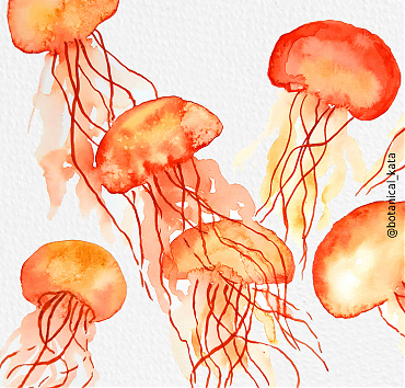 Jellyfishes again - 