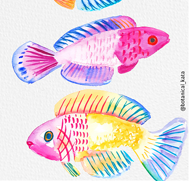 Rainbow fishes - 