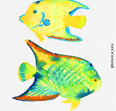 Tropical fishes - 