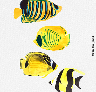 Tropical fishes again - 