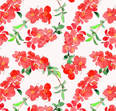 Chaenomeles japonica or Japanese quince BK23-A23 - Seamless repeat pattern with watercolor flowers and ink details