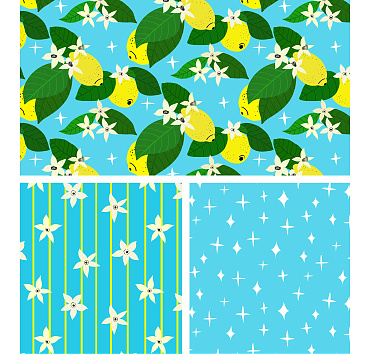 Citrus sensation - hand drawn elements - seamless patterns in a collection for buying or licensing, the whole group, or a single pattern 